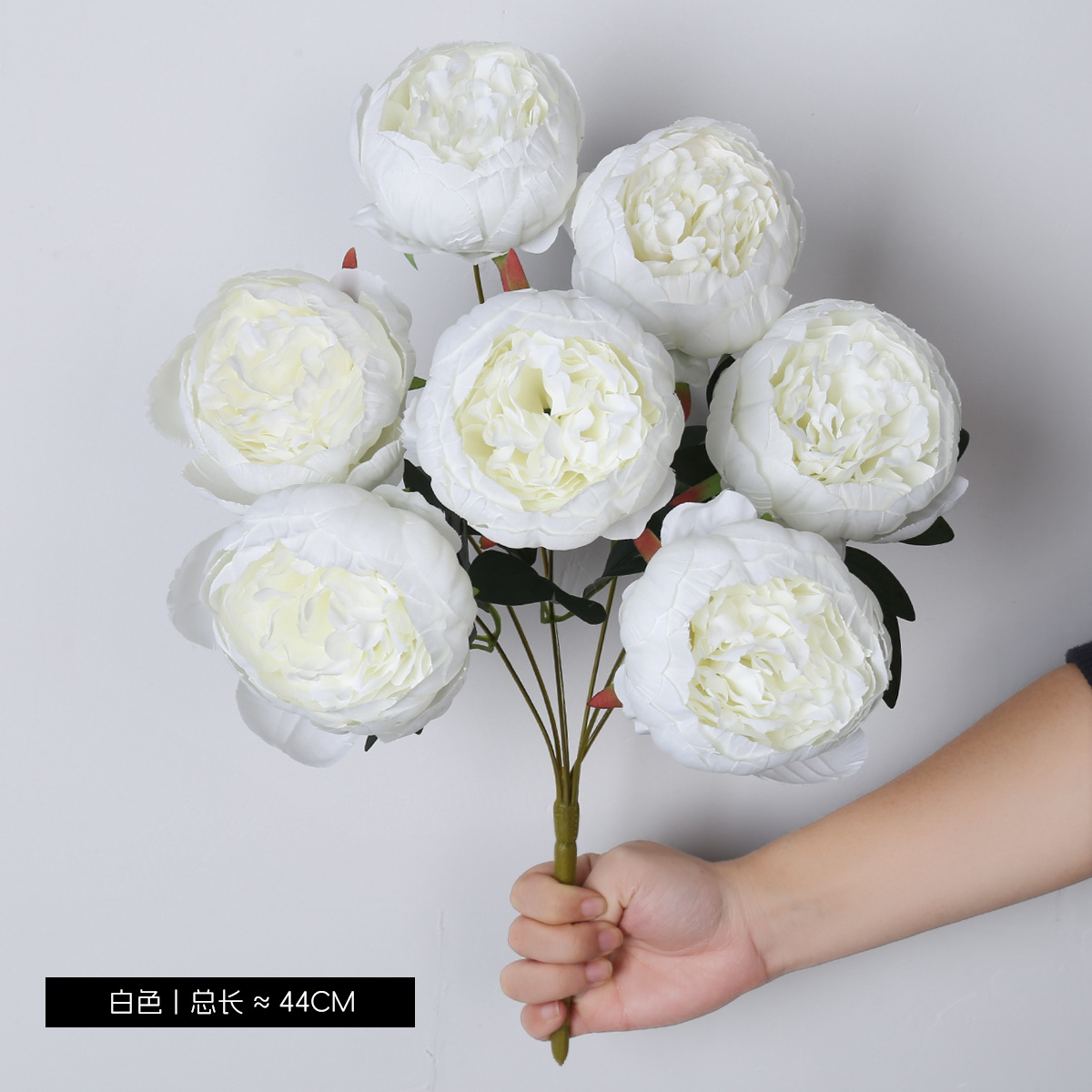 ดอกโบตั๋น 7 ดอก - สีขาว