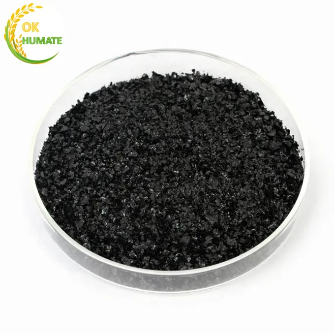 60-70% Shiny Flake Kali Humate/100% Phân Bón Axit Humic Hòa Tan Trong Nước Với Giá Thấp