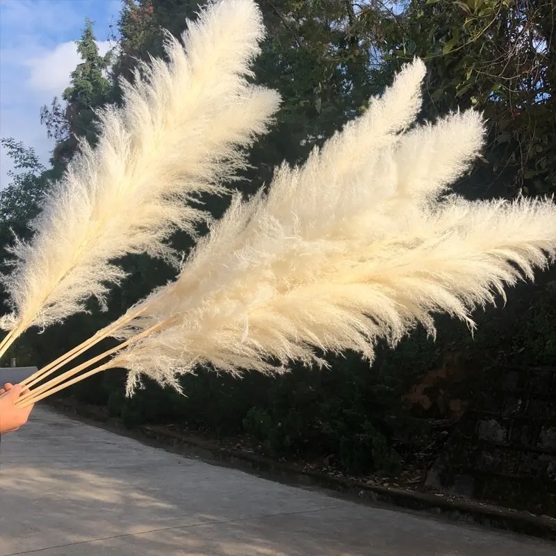  Large Artificial Silk Wedding Party Decoration  White Dried Long Natural Flowers large Fluffy Pampas Grass