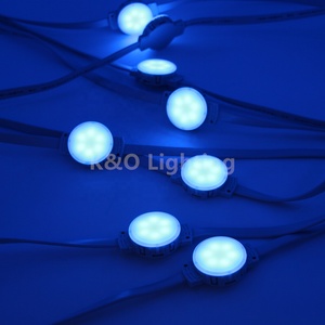 DC24V IP68 Outdoor <strong>RGB</strong> <strong>LED</strong> <strong>Pixel</strong> Light <strong>String</strong> <strong>DMX</strong> Controlled Point Lights Building Projects PC Lamp Body IP68 Waterproof - Product Image 3