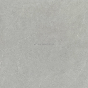 2025 bán chạy nhất 600x600 trắng mịn Antique gốm gạch lát sàn hiện đại trên bán - Product Image 1