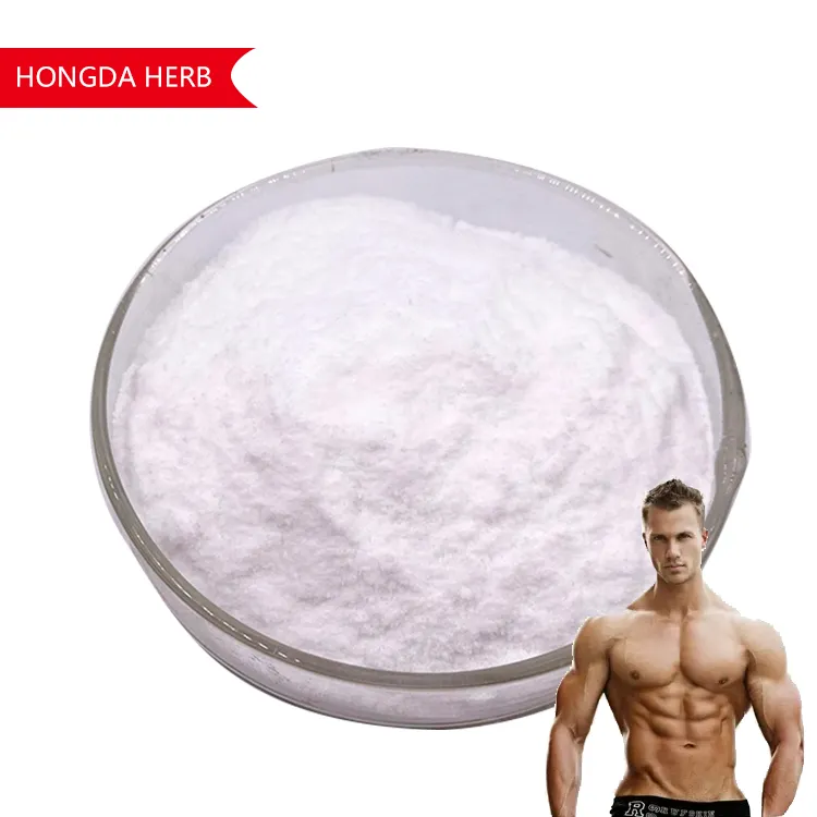 Suplementos nutricionales de HONGDA, polvo de Monohidrato de Creatina, polvo de Monohidrato de Creatina a granel