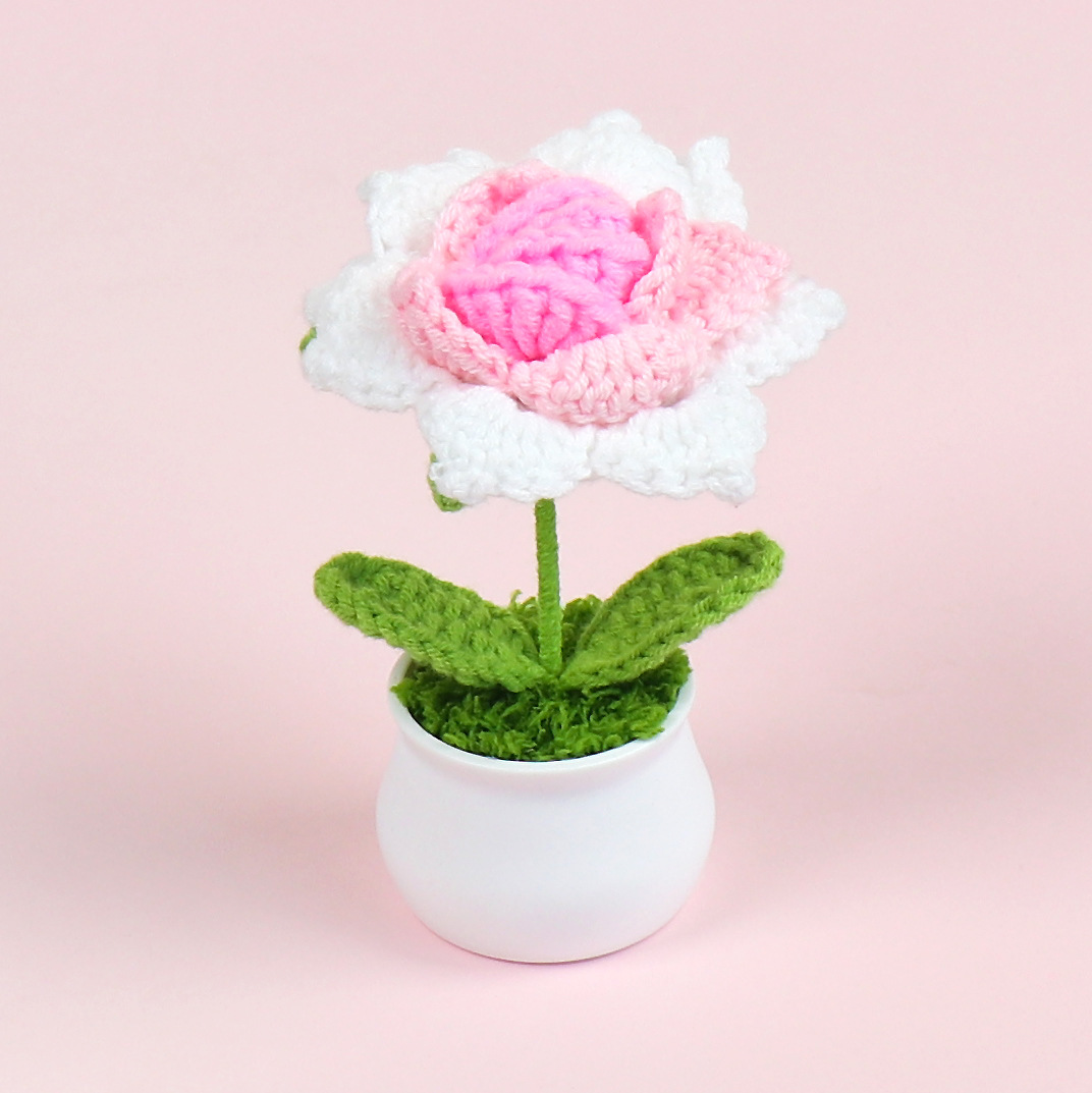 Rosa e Bianco