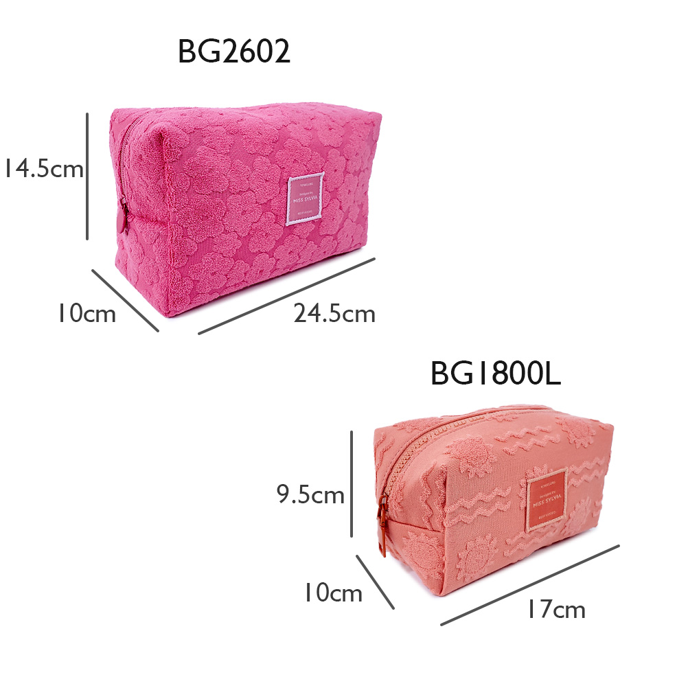 2024BG2602