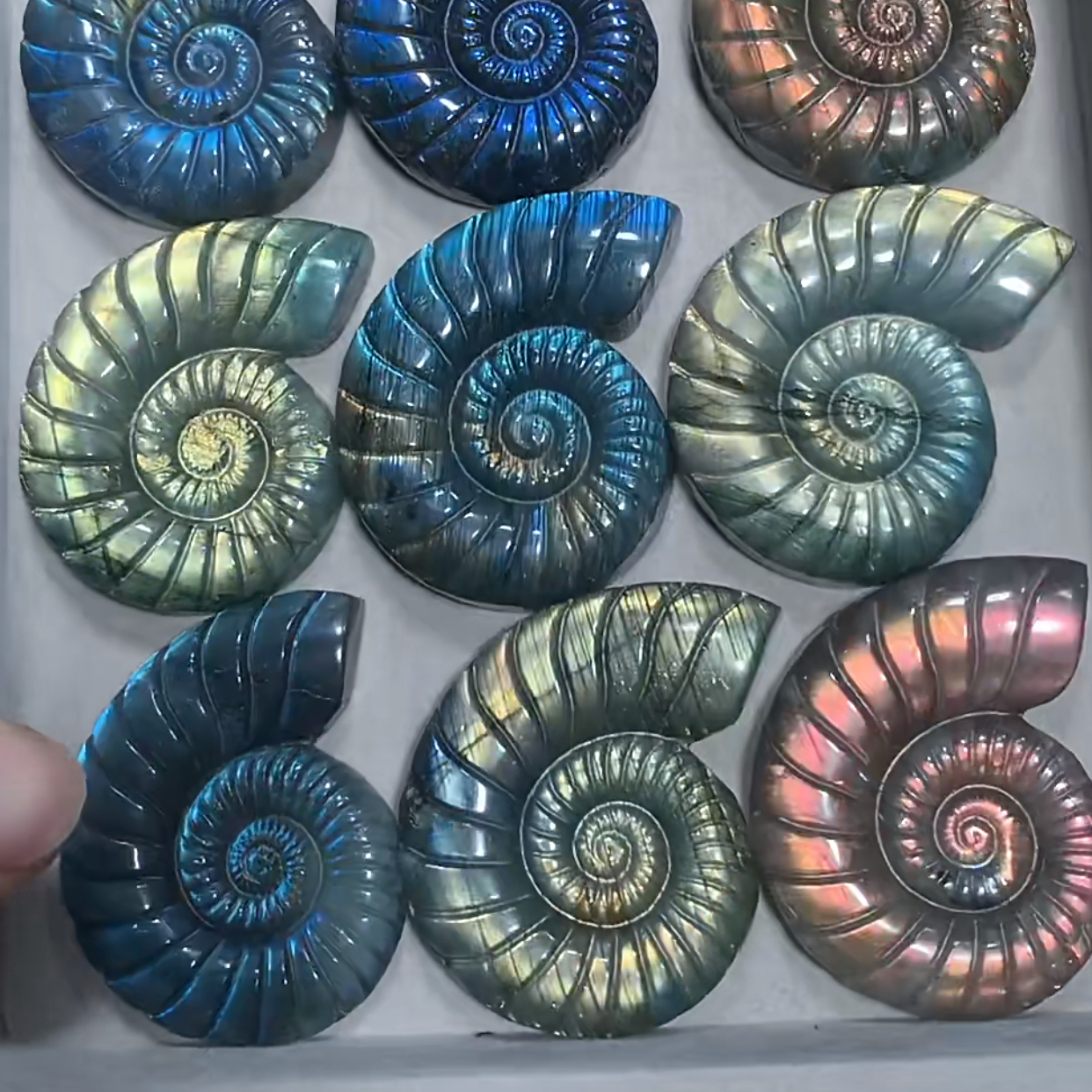labradorite Snail20-30g/pc