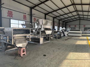 Máquina clasificadora de color de anacardos Otras máquinas de procesamiento de frutos secos