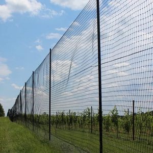 Customizable Density <strong>Bird</strong> Catching <strong>Nets</strong>, HDPE <strong>Bird</strong> Proof <strong>Net</strong>, Protecting Fruit Tree <strong>Net</strong> - Product Image 6