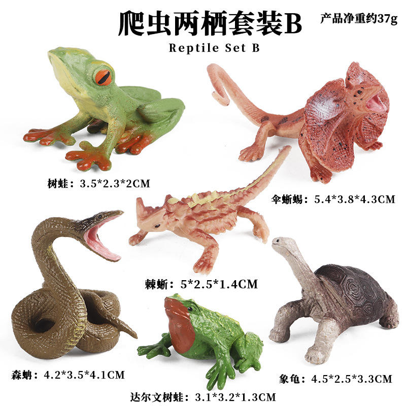 KZ Reptil Anfibio Set B(6 sets)