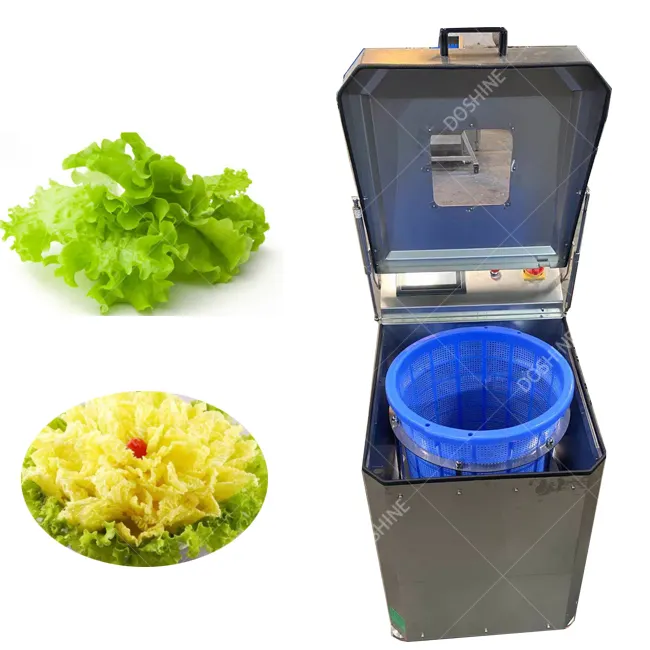 果物と野菜の水抽出機/食品水抽出器/サラダスピンドライヤー