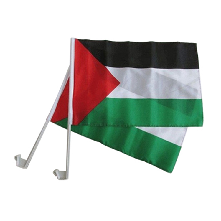 Palestina bandiera auto