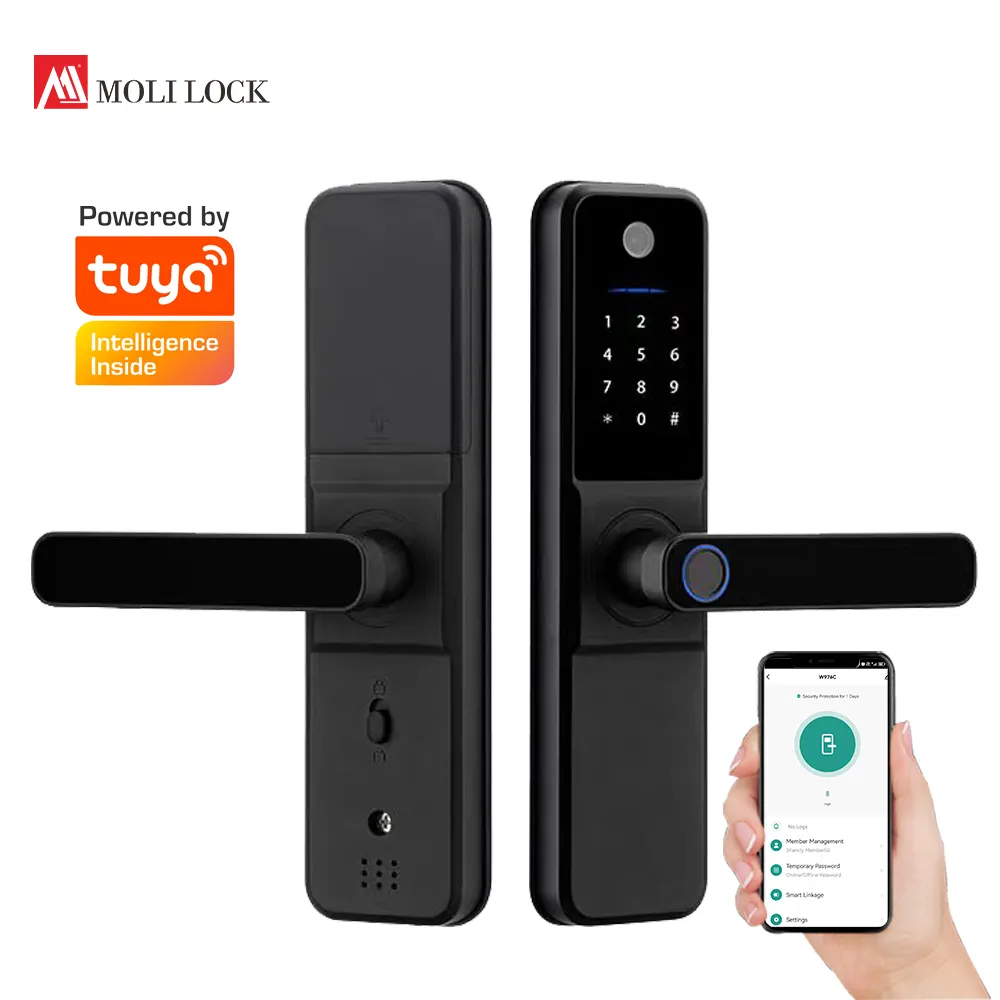 Oem Tuya Ttlock App kapı kilidi akıllı Wifi Bluetooth kablosuz uzaktan kumanda su geçirmez ev için