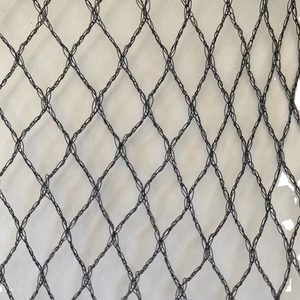 HDPE Netting Anti Bird <strong>Nets</strong> for Catching Birds Protection