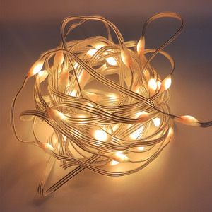 Dream Color Christmas <strong>String</strong> <strong>Lights</strong> RGB <strong>Led</strong> Pixel <strong>String</strong> <strong>Light</strong> 10leds/m 5m 10m Waterproof Addressable <strong>Led</strong> <strong>String</strong> DC5V - Product Image 6