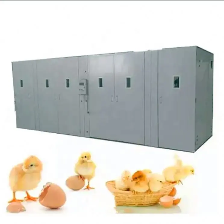 Nuovo arrivo Inchbator di pollo solare incubatore di uova e macchina da cova