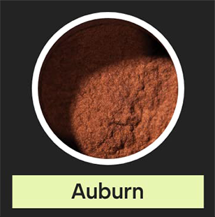 Auburn