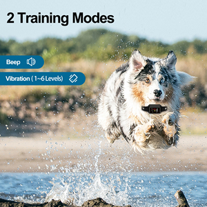 <span class=keywords><strong>Collar</strong></span> antiladridos para perros, recargable IP68, resistente al agua, vibración automática y ajustable, sin golpes - Product Image 6