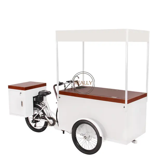 OEM Electric Ice Cream triciclo Outdoor Mobile Vending Cart Solar 3 Wheel Cargo Bike con congelatore