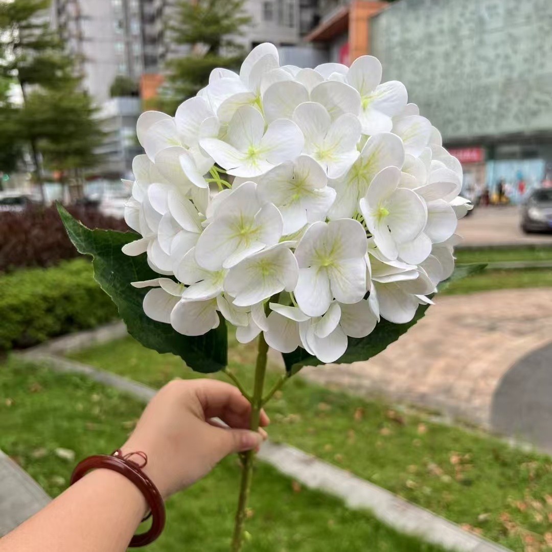 Hydrangée blanche 3D à une tête, effet réaliste au toucher.