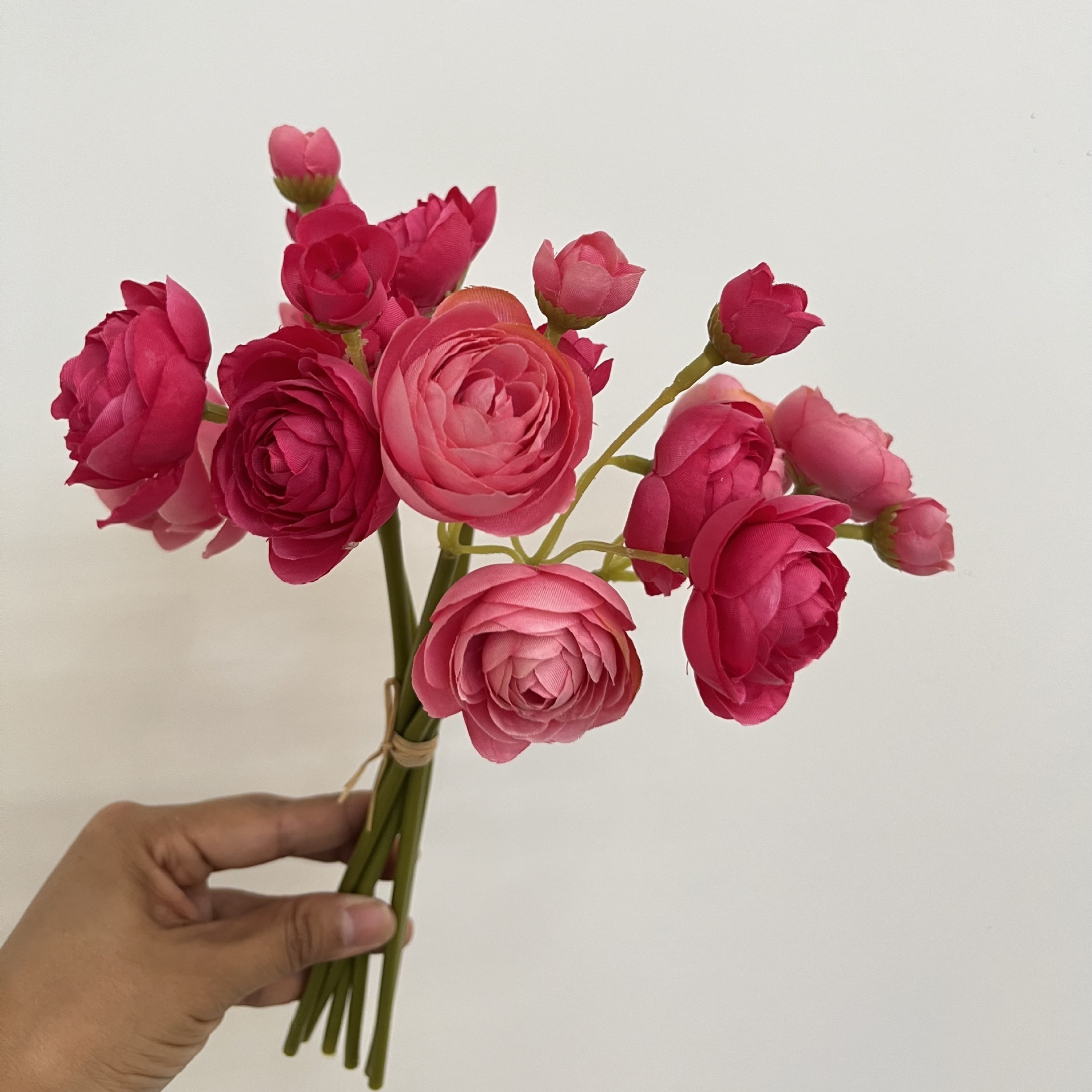 Dark and light rose red