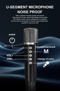 Dj Bluetooth KTV Lautsprecher Sound wiederauf ladbar ys219 Heimkino-Systeme Verstärker mit Mikrofon Karaoke Wireless