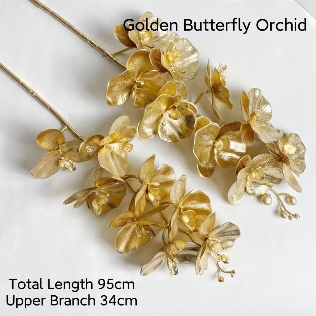 Orchidée papillon dorée