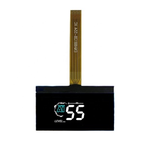 Display LCD a segmenti COG VA personalizzato Display LCD a segmenti stampati a colori LCD bianco su nero - Product Image 4