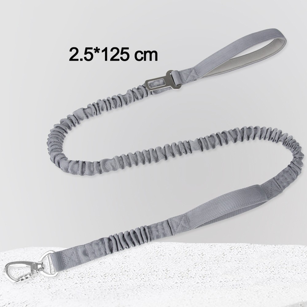long leash