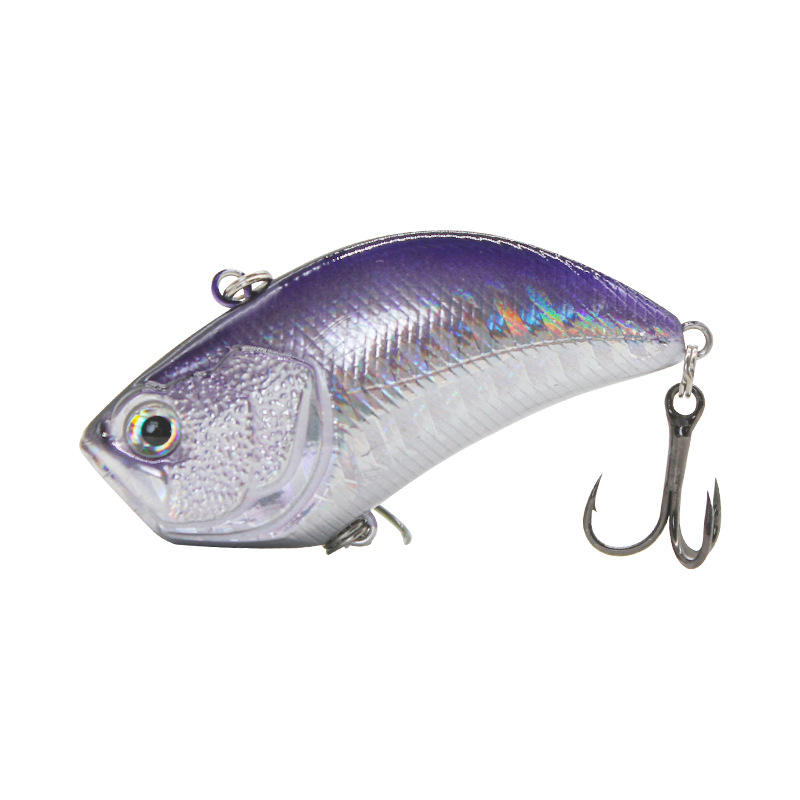 Black back-purple body