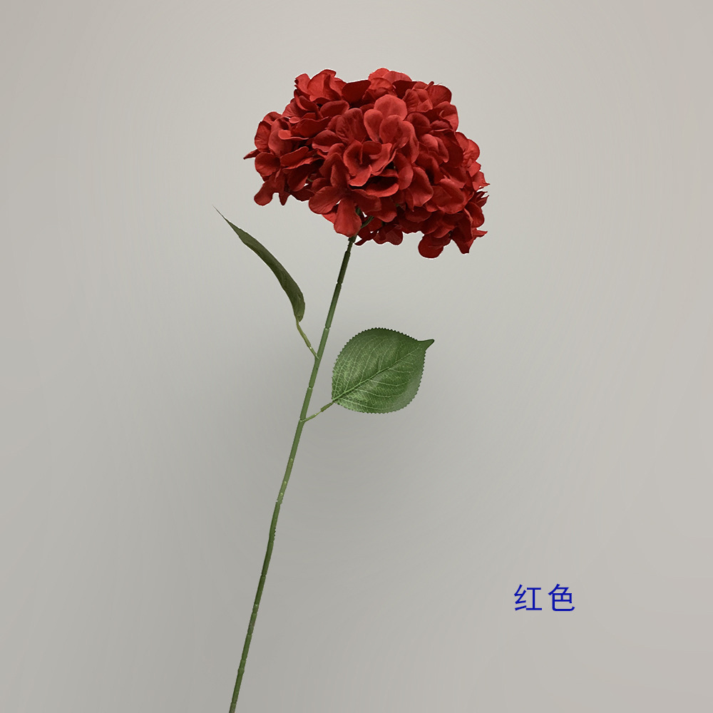 rojo
