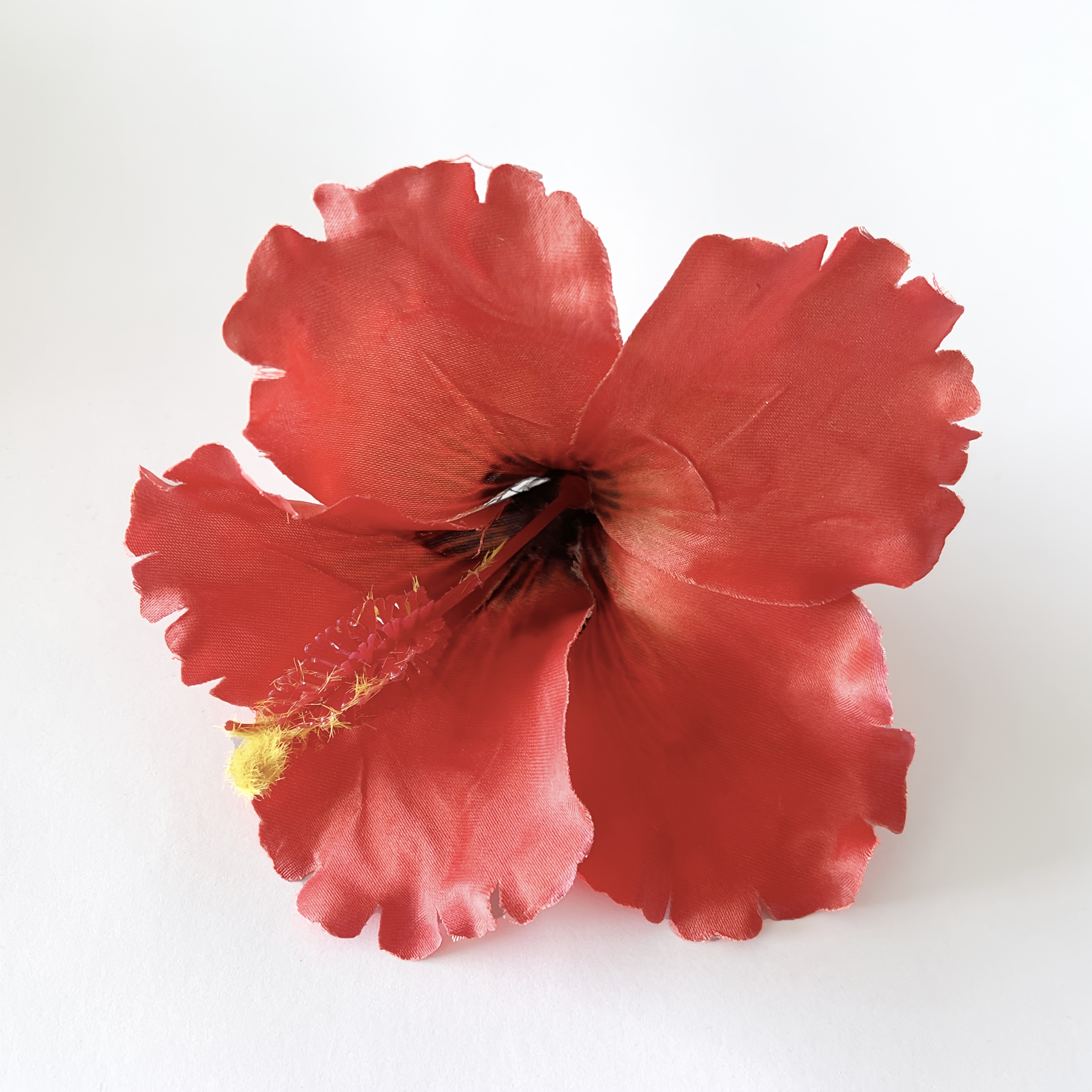 Pastèque rouge