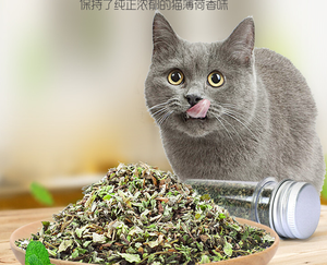 Factory Wholesale <strong>Catnip</strong> Toys <strong>Catnip</strong> Powder 100% Natural <strong>Catnip</strong> - Product Image 3
