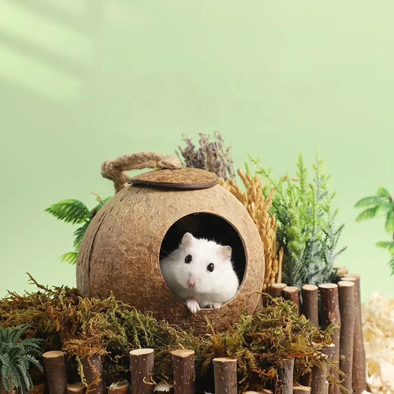 Bonito e versátil handmade coco shell hamster chipmunk pássaro ninho pet brinquedo quente para o abrigo do verão