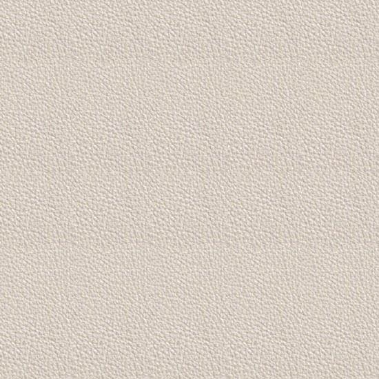 Sandy Leatherette