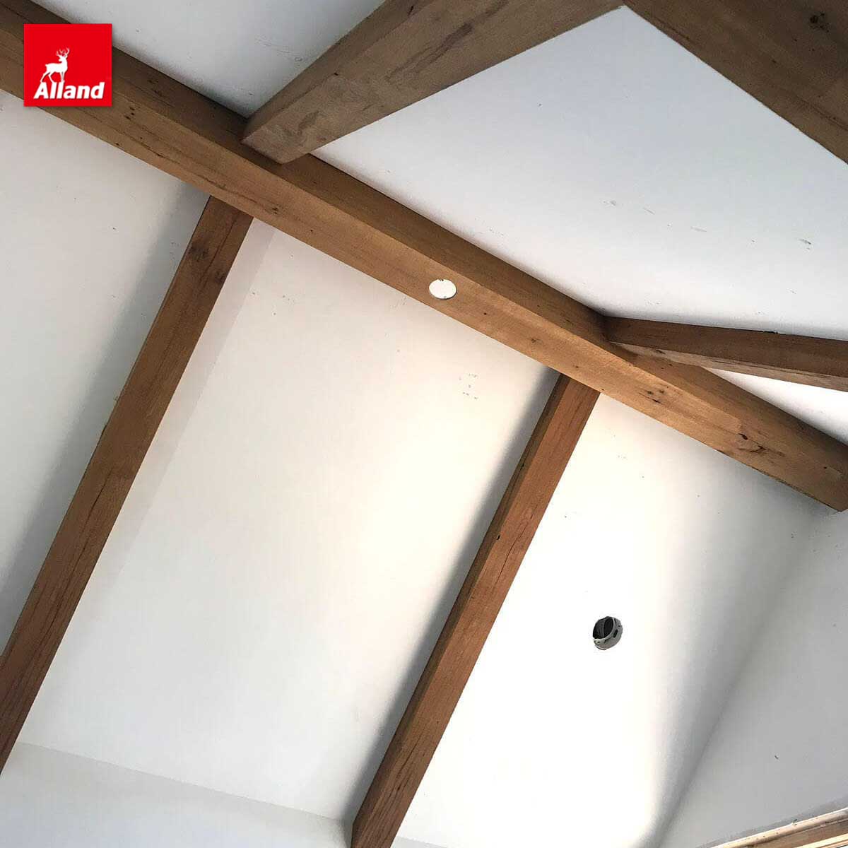 wood