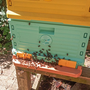 HDPE Langstroth 3 Layer 10 Frame Beehive Thermal Plastic Insulated Bee Hives - Product Image 2