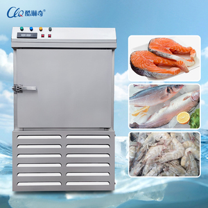 178 L -80 C商業用クイックフリーザー新鮮な魚肉パンブラストショックフリーザー容器 - Product Image 6