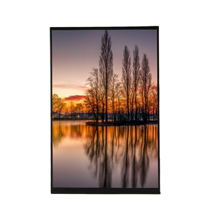 Venta al por mayor Módulo de pantalla TFT de 10,1 pulgadas para Smart Home Módulos LCD de precio súper bajo - Product Image 1