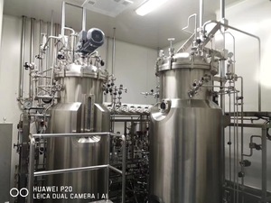 What Is Vvm in Fermenter <strong>Function</strong> of Temperature Probe in Bioreactor Fermentador Tricoderma - Product Image 6