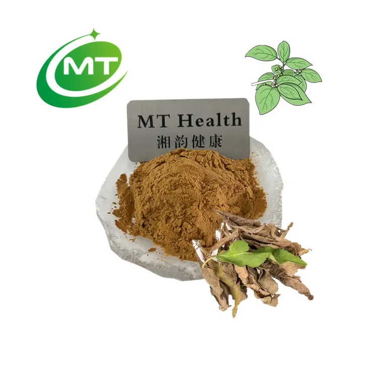 100% reines natürliches Cinnamomum camphora Antibiose Blatt pulver Kampfer baum extrakt