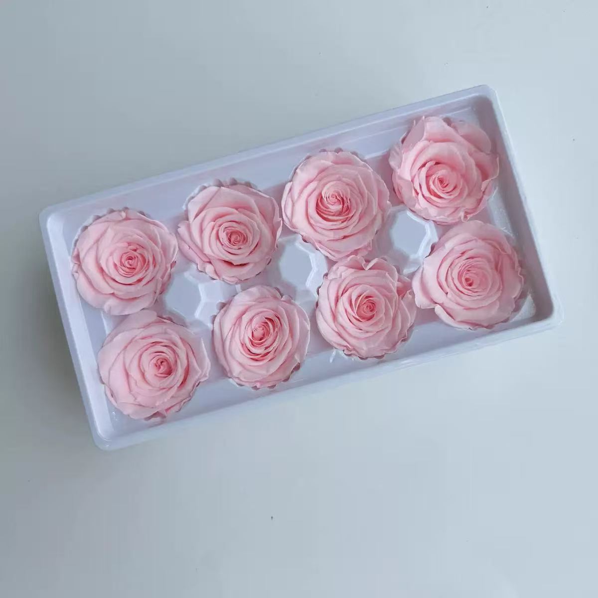 rosa pesca Grado B