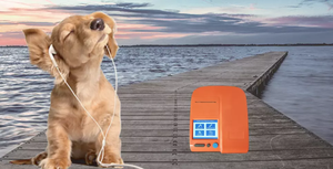 Тестовые полоски для прогестерона Canine, тестовый анализатор CE и ISO для животных - Product Image 3