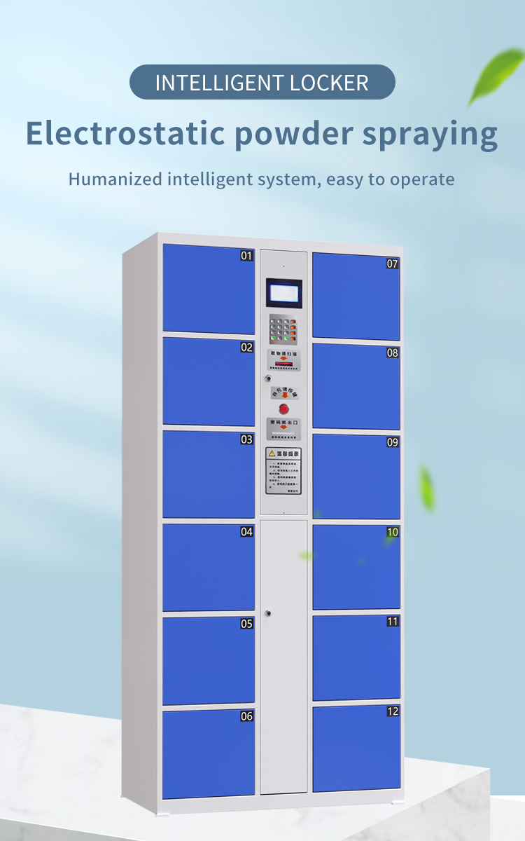 Penyimpanan 12 Pintu Smart Parcel Delivery Locker Pelapis Serbuk Elektrostatik 0