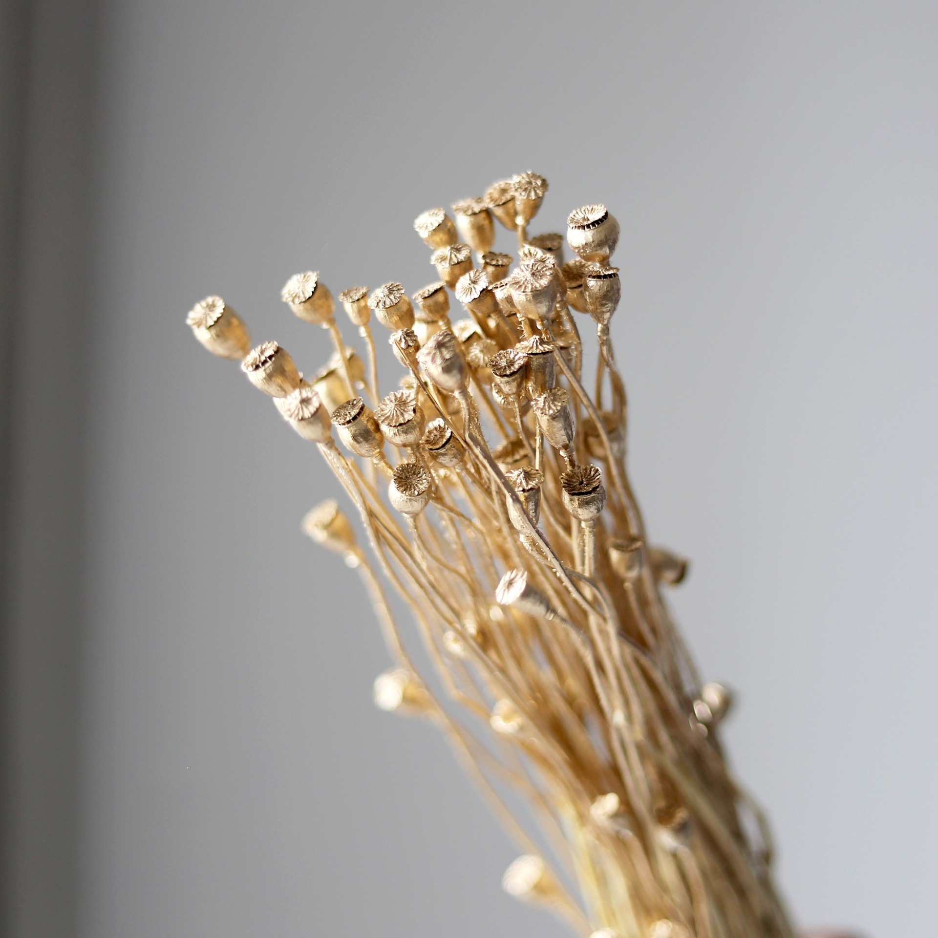 Oro