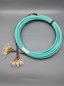 OEM multimodale OM4 12F in fibra ottica con 24 Fiber Breakout LC/PC Patch per il cablaggio del centro dati in reti WIFI 4G 3G - Product Image 3
