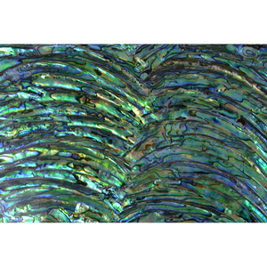Mother of Pearl Shell Veneer <strong>Paua</strong> Abalone Paper Laminate Shell Sheet DB014 - Product Image 1