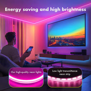 2023 fabrika 110v 220v LED şerit su geçirmez işık RGB LED şerit işık akıllı kapalı açık Neon ışık şeridi uzaktan kumanda ile - Product Image 4