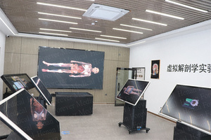 Digital <strong>Human</strong> Anatomy System Anatomage 3D Body Virtual Autopsy Table for School Medical School 3D Virtual Anatomage Table Price - Product Image 5