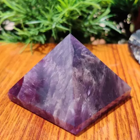 Pourpre