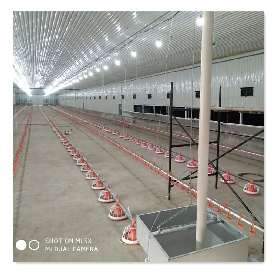 2021 Offre Spéciale lumière structure en acier équipement de hangar de volailles de chair de poulet ferme plan d'affaires