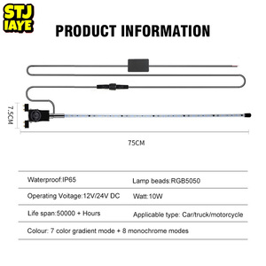 Automobile, Truck, Motorcycle, 12-24V Universal Antenna Light Decoration LED rainbow Navigation Light Navigation Pole. - Product Image 2